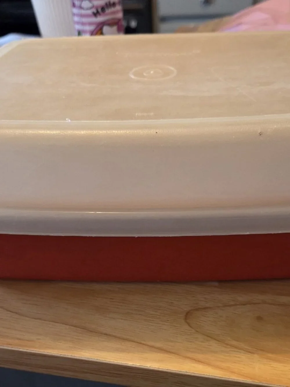 Vintage Tupperware Meat Keeper Marinade Container w/ Lid Paprika Color VGC